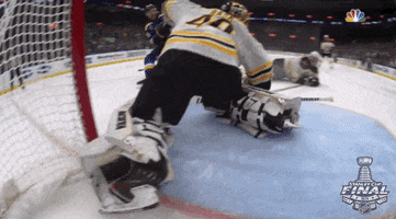 ice hockey sport GIF by NHL