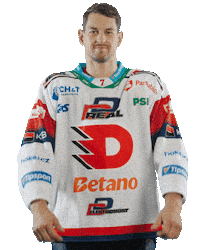 Hockey Czech Sticker by HC Dynamo Pardubice