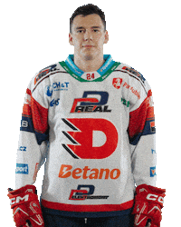 Hockey Czech Sticker by HC Dynamo Pardubice