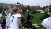 emueagles goeagles GIF by EMU Athletics