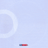 Football Soccer GIF by skysports