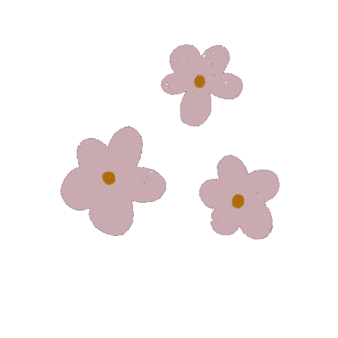 artbyamanda giphyupload flower flowers daisy Sticker