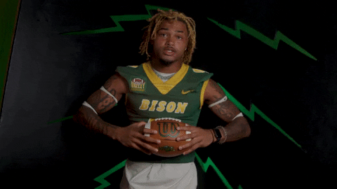 Bison Hart GIF by NDSU Athletics