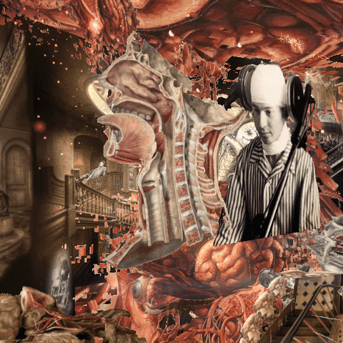 reinbijlsma weird nft alien surreal GIF