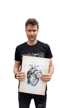 animusmedicus medizin animus anatomie wichard Sticker