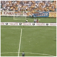Monterrey Tigres GIF by BARSUK