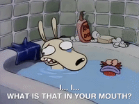 rockos modern life nicksplat GIF