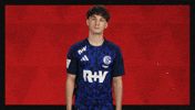 Schalke 04 Football GIF by Bundesliga
