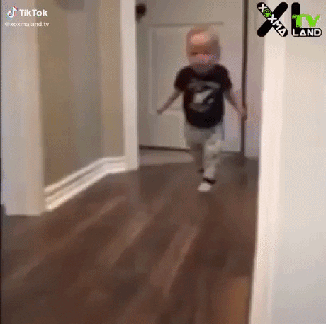 giphygifmaker giphyattribution GIF
