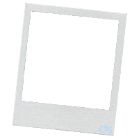 Polaroid Ds Sticker by Stockanotti