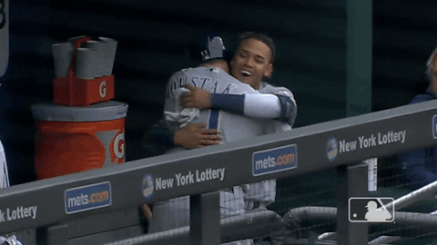 major league baseball hug GIF by MLB