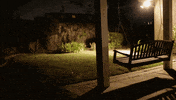 video lol GIF