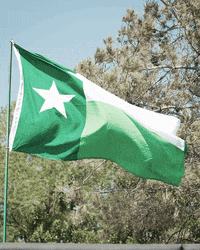 North Texas Mean Green GIF by UNT Athletics