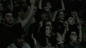 Texas Mean GIF by UNT Athletics