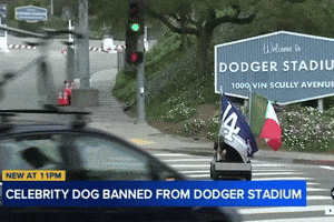 Dodgers Stadium Dog GIF by SWAGGY WOLFDOG