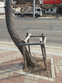 bossassbitch GIF by FirstAndMonday