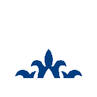 Flor De Lotus Sticker by Handara Jeans