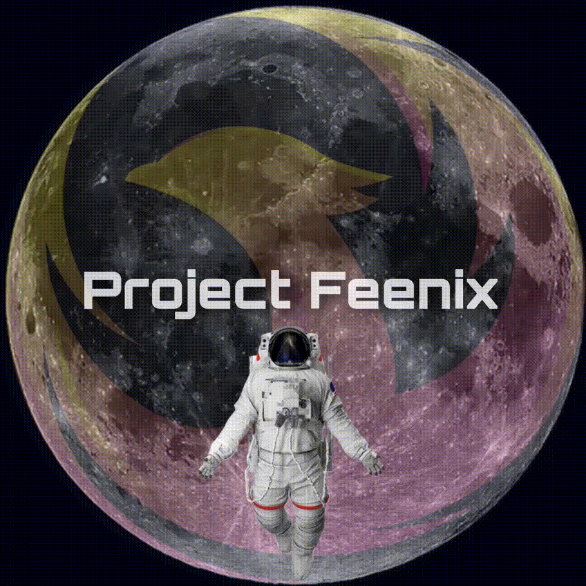 projectfeenix giphyupload moon launch lfg GIF