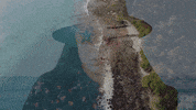 Fun Summer GIF