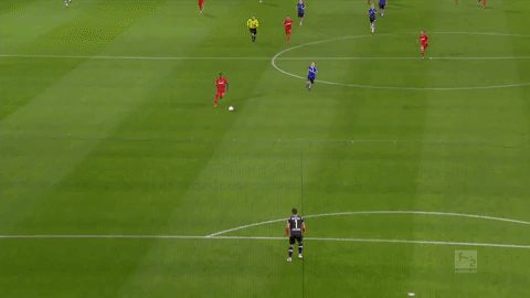 soccer bundesliga GIF by 1. FC Köln