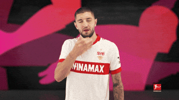 Vfb Stuttgart GIF by Bundesliga