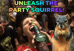 party squirrel GIF by Stoneham Press