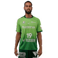 Handball Sticker by DAIKIN HBL