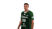 hsgwetzlar handball-bundesliga emil wetzlar hsg wetzlar Sticker