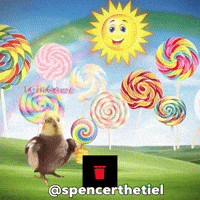 Bird Parrot GIF