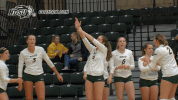 north dakota state bison GIF by NDSU Athletics