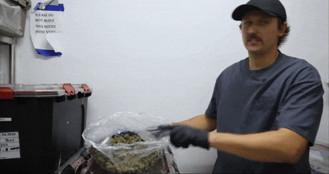 Bloom Andrew GIF by Exclusive Brands