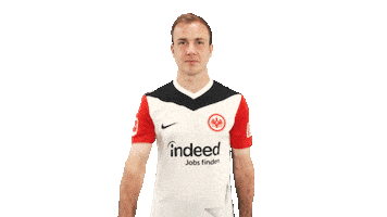 Eintracht Frankfurt Sticker by Bundesliga
