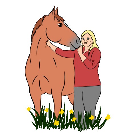 Horse Pony Sticker by Haflinger Steve