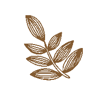 jobsjournal flower flowers leaf leaves Sticker