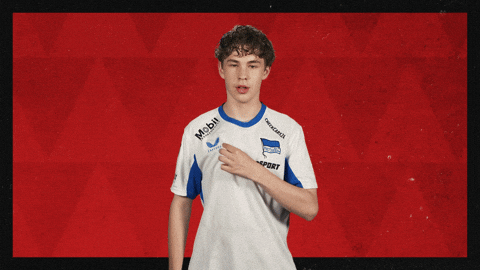 Hertha Bsc Football GIF by Bundesliga