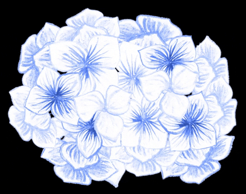 bforbagel giphygifmaker GIF