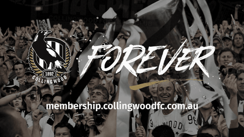 fans crowd GIF by CollingwoodFC