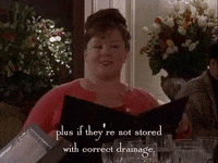 season 1 netflix GIF by Gilmore Girls 