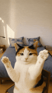 틴더스 GIF