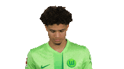 Look Up Vfl Wolfsburg Sticker by Bundesliga