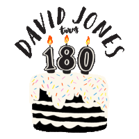 djsturns180 Sticker by David Jones