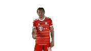 Come Here Leroy Sane Sticker by FC Bayern Munich