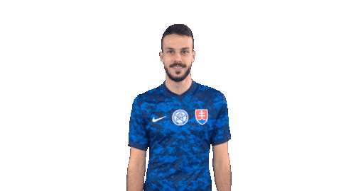 Celebration Goal Sticker by Slovensky futbalovy zvaz