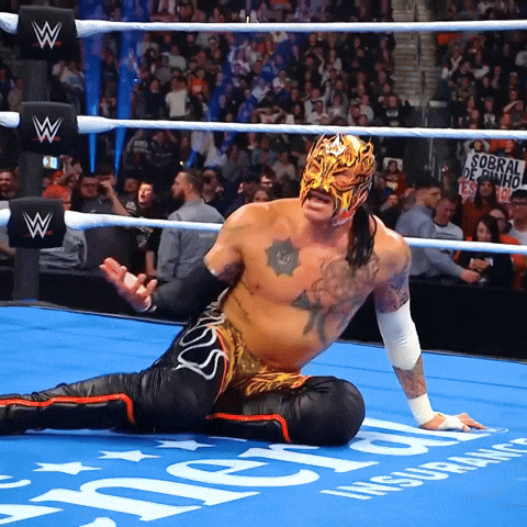 No Way Seriously GIF by WWE