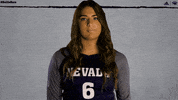 NevadaWolfPack college ncaa volleyball athletics GIF