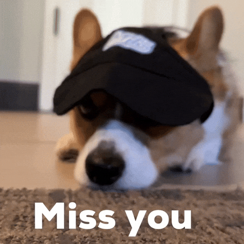 Miss You Dog GIF