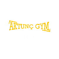 Boxing Kickboxing Sticker by aktunç gym