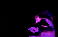 gif artist valeriavlo GIF