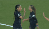 High Five Womens Soccer GIF by National Women's Soccer League