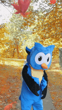 Dance Celebrate GIF by Middlesex Community College